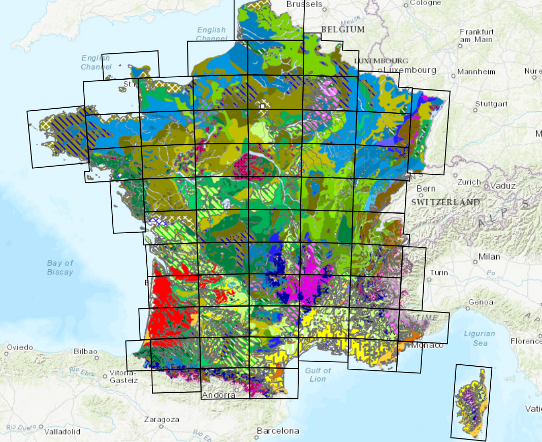 Connaitre la végétation urbaine Aux Arbres Citadins