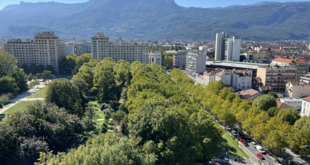 L’étude dévoile que près de 63 % des arbres plantés à Grenoble sont déjà menacés par le climat actuel. Photos Le DL /Albane POMMEREAU
