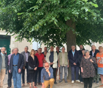A Orléans (Loiret), les riverains du quartier Saint-Marceau s'étaient mobilisés pour sauver des tilleuls centenaires de la place Domrémy que la municipalité envisageait d'abattre pour réaménager l'espace. DR